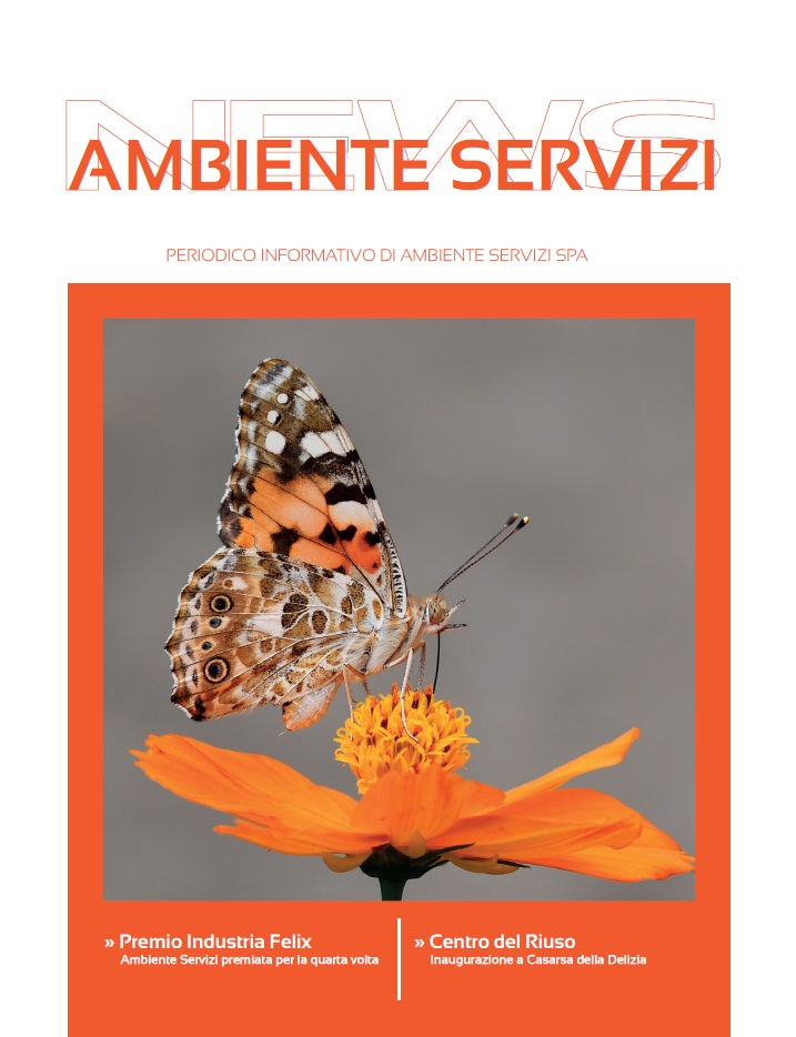 Online Ambiente Servizi News